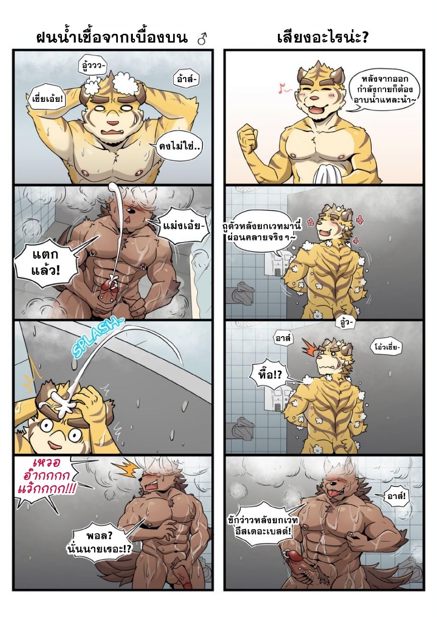 วันๆในบีสต์ยิม Gym Pals R1 & R2